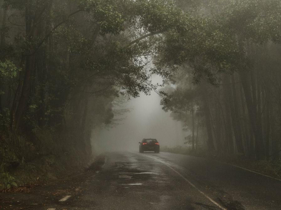 bil på landevej gennem skov